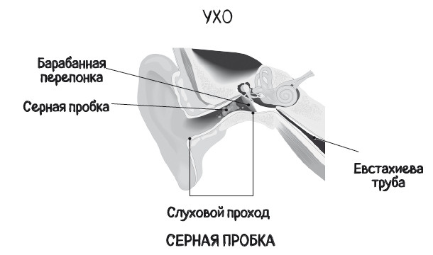 Почему болит ухо. Что делать при отитах, снижении слуха и звоне в ушах – правила доказательной медицины