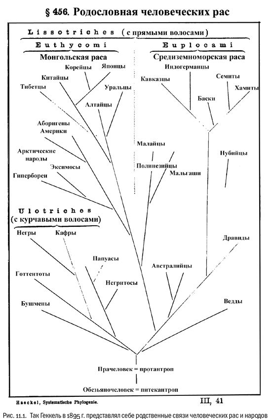 Евангелие от LUCA. В поисках родословной животного мира