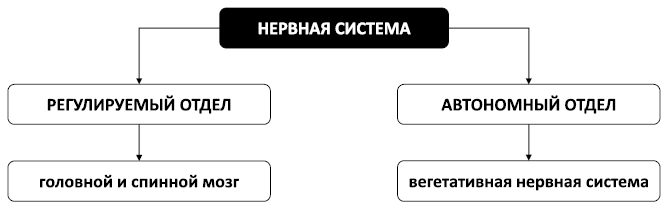 Спокойствие, только спокойствие! Как контролировать нервы, эмоции и настроение