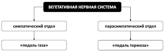 Спокойствие, только спокойствие! Как контролировать нервы, эмоции и настроение