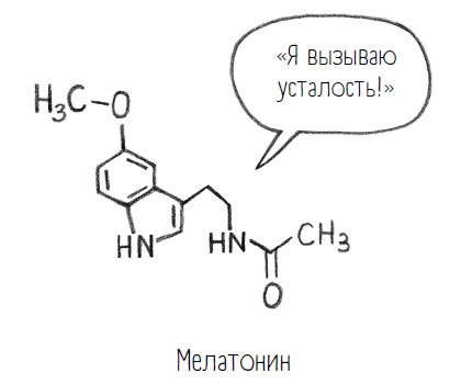 Комично, как все химично! Почему не стоит бояться фтора в зубной пасте, тефлона на сковороде, и думать о том, что телефон на зарядке взорвется