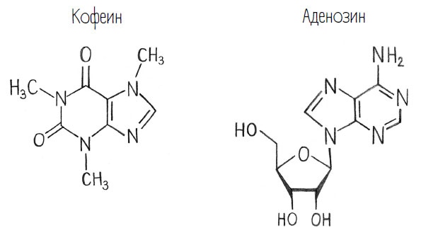 Комично, как все химично! Почему не стоит бояться фтора в зубной пасте, тефлона на сковороде, и думать о том, что телефон на зарядке взорвется