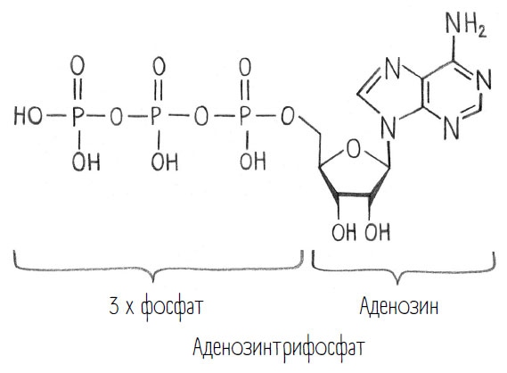 Комично, как все химично! Почему не стоит бояться фтора в зубной пасте, тефлона на сковороде, и думать о том, что телефон на зарядке взорвется