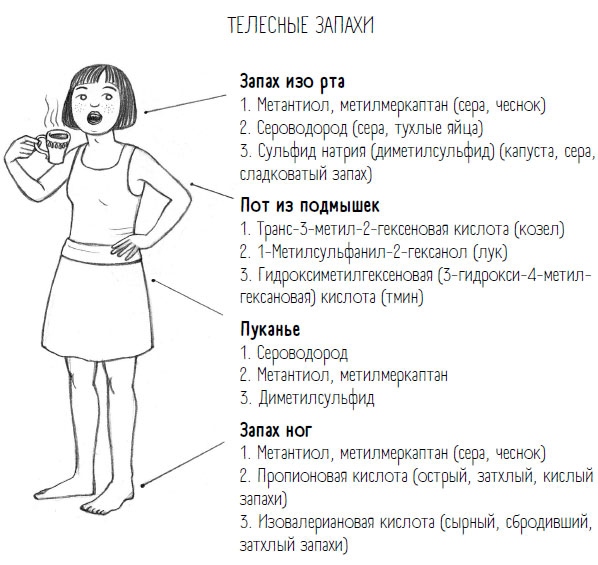 Комично, как все химично! Почему не стоит бояться фтора в зубной пасте, тефлона на сковороде, и думать о том, что телефон на зарядке взорвется