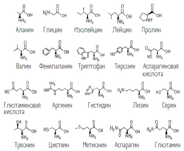 Комично, как все химично! Почему не стоит бояться фтора в зубной пасте, тефлона на сковороде, и думать о том, что телефон на зарядке взорвется