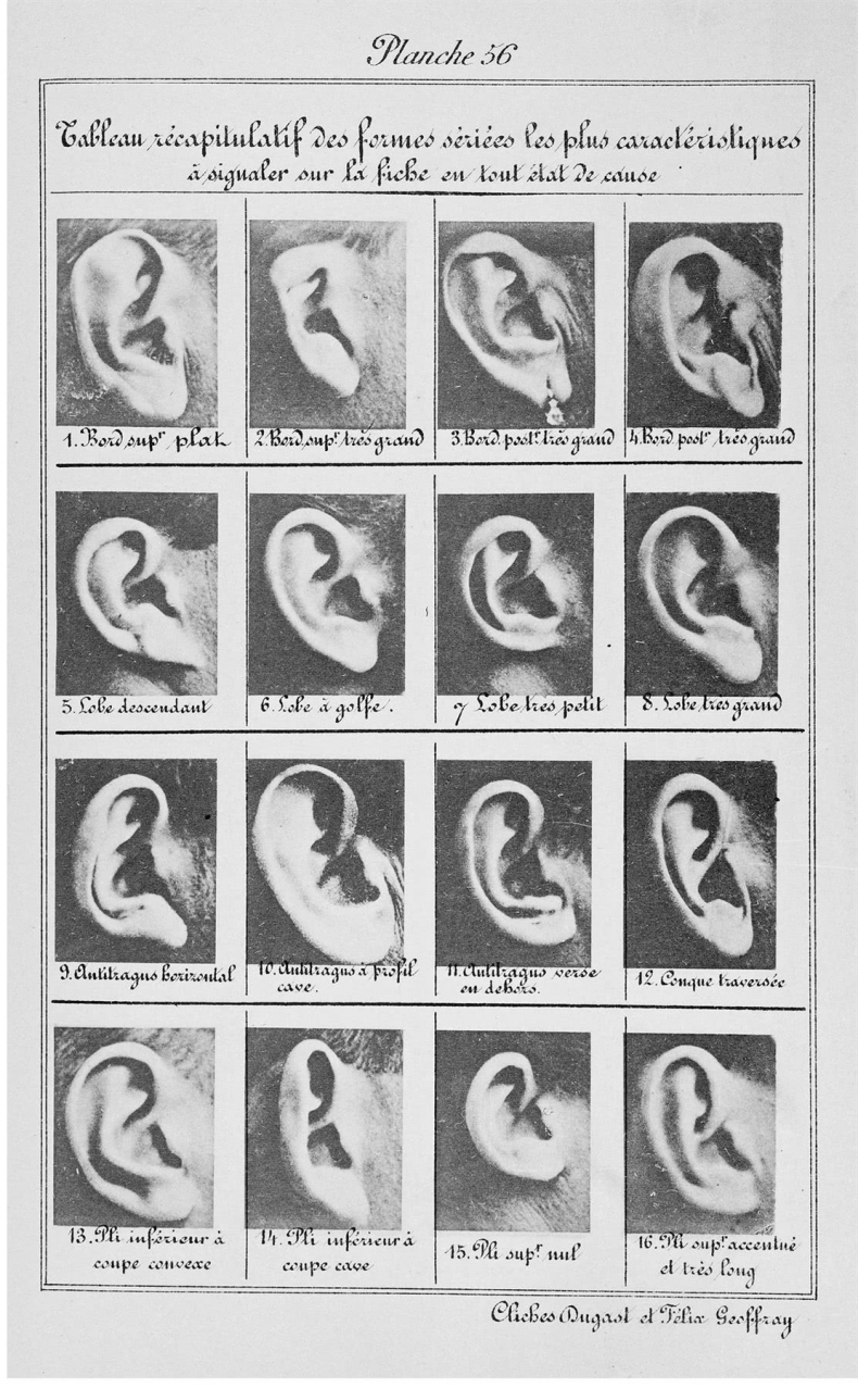 Чуткое ухо. Что может рассказать о вашем здоровье ушная раковина