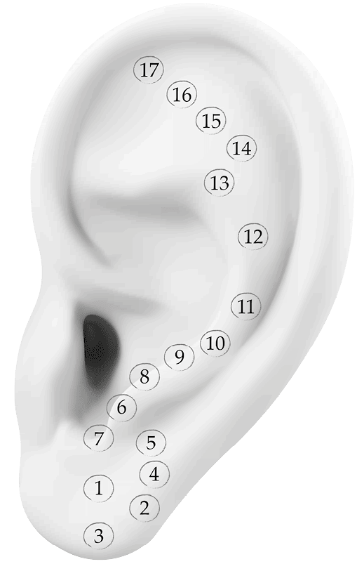 Чуткое ухо. Что может рассказать о вашем здоровье ушная раковина
