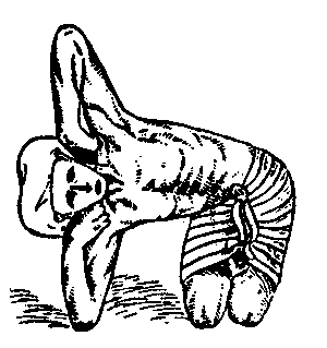 Йога для укрепления спины и суставов. Современное руководство по древней египетской методике исцеления маздазнан