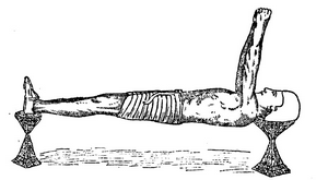 Йога для укрепления спины и суставов. Современное руководство по древней египетской методике исцеления маздазнан