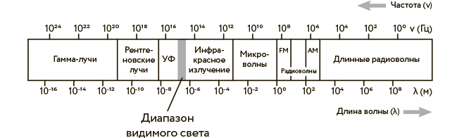 Научное мировоззрение изменит вашу жизнь. Почему мы изучаем Вселенную и как это помогает нам понять самих себя?