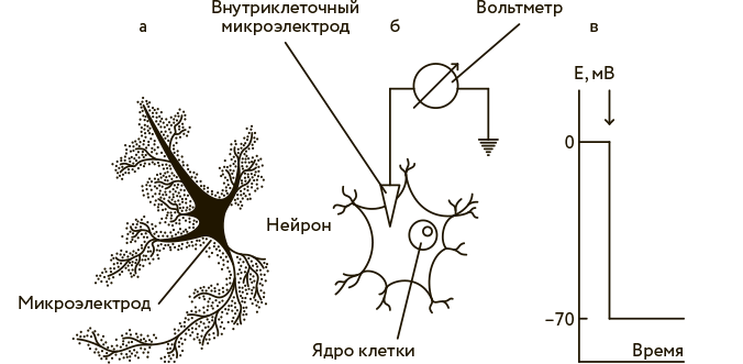 Научное мировоззрение изменит вашу жизнь. Почему мы изучаем Вселенную и как это помогает нам понять самих себя?