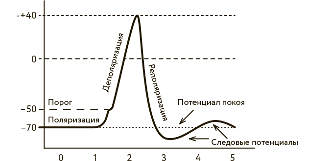 Научное мировоззрение изменит вашу жизнь. Почему мы изучаем Вселенную и как это помогает нам понять самих себя?