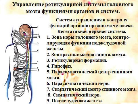 Аллергия. Истинные причины. Лечение