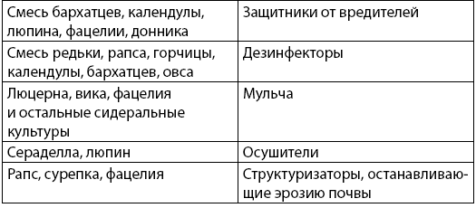 Как заработать на своем огороде и не превратиться в раба