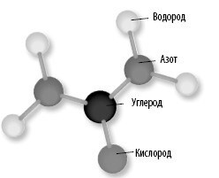 Взламывая анатомию