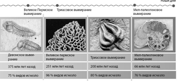 Взламывая планету Земля