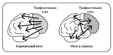 Воля к жизни. Как использовать ресурсы здоровья по максимуму