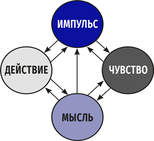 Идеальный шторм. Как пережить психологический кризис