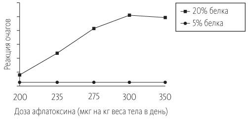 Китайское исследование