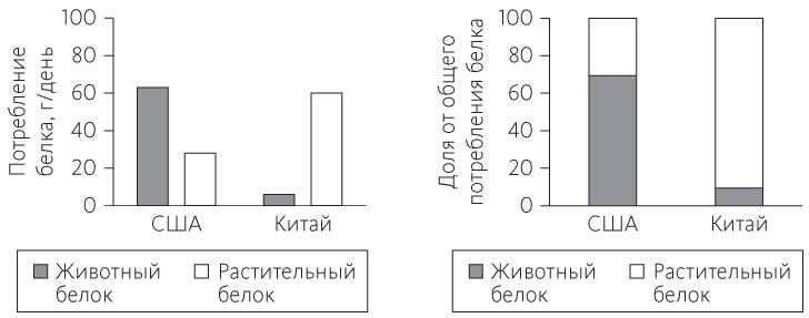 Китайское исследование