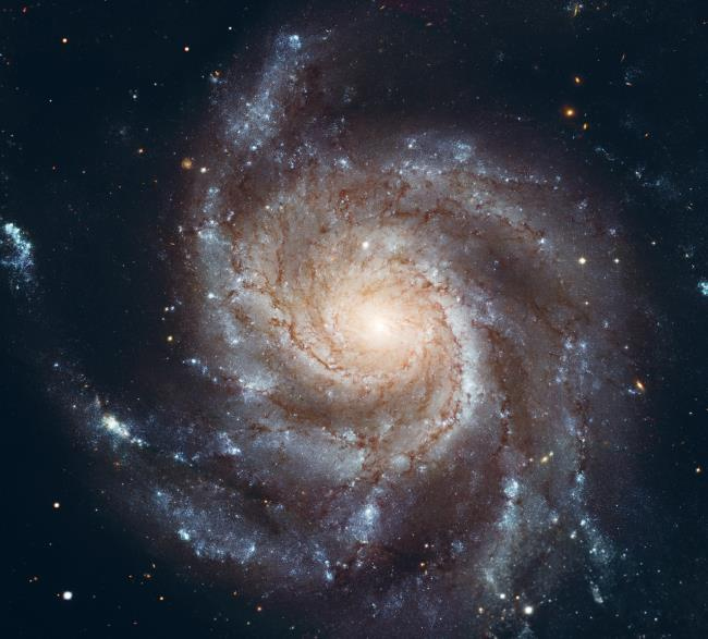 Астрофизика начинающим: как понять Вселенную