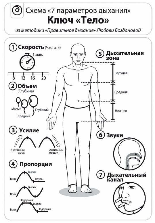 Вдох-выдох. Практики осознанного дыхания