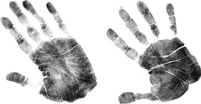 Психология руки. Полный обзор теории и практики хиромантии
