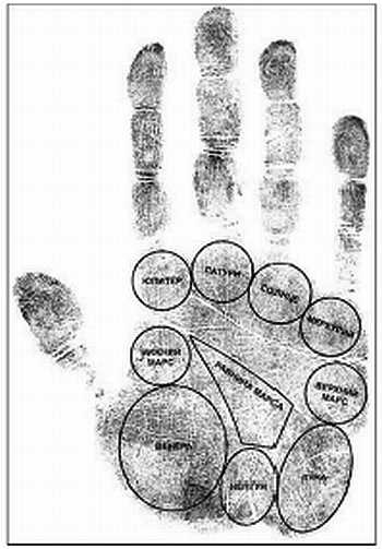 Психология руки. Полный обзор теории и практики хиромантии