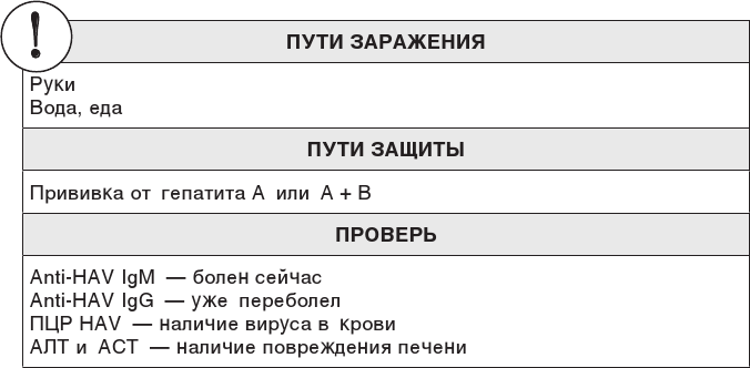 О чем молчит печень. Как уловить сигналы самого крупного внутреннего органа, который предпочитает оставаться в тени