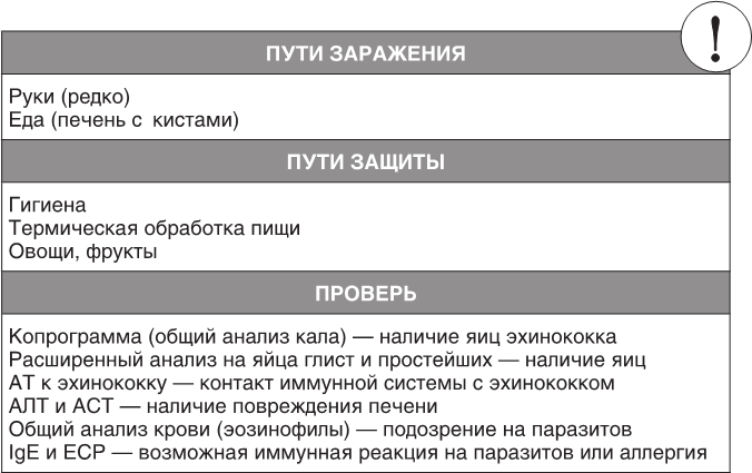 О чем молчит печень. Как уловить сигналы самого крупного внутреннего органа, который предпочитает оставаться в тени