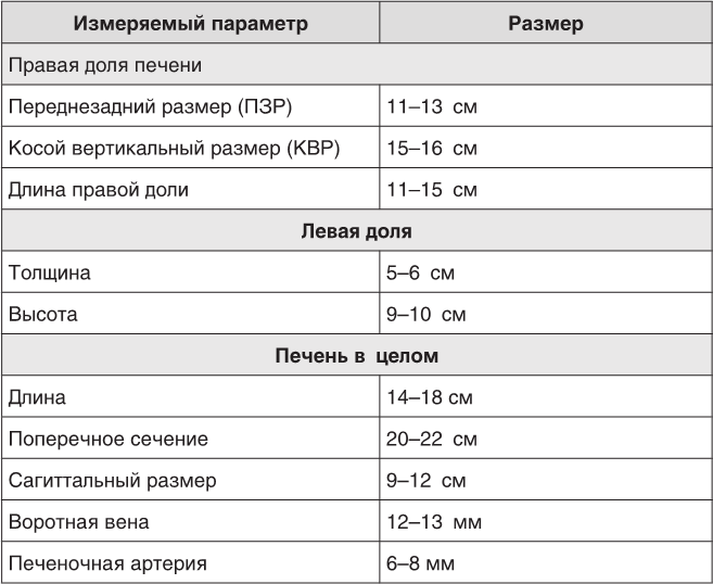 О чем молчит печень. Как уловить сигналы самого крупного внутреннего органа, который предпочитает оставаться в тени