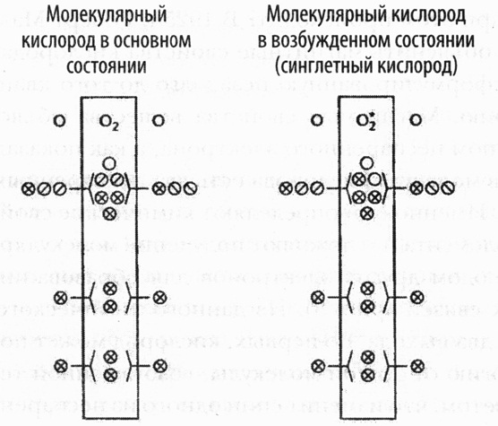 Кислород. Молекула, изменившая мир