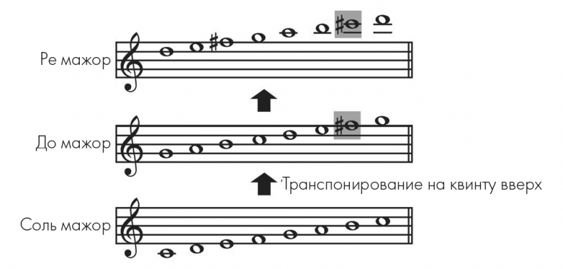 Музыкальный инстинкт. Почему мы любим музыку