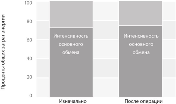 Интервальное голодание. Как восстановить свой организм, похудеть и активизировать работу мозга