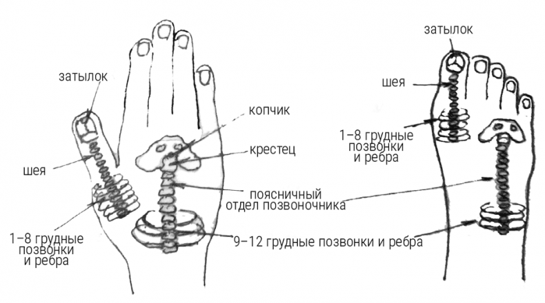 Большой самоучитель исцеляющих точек. Подробный атлас, приемы и упражнения