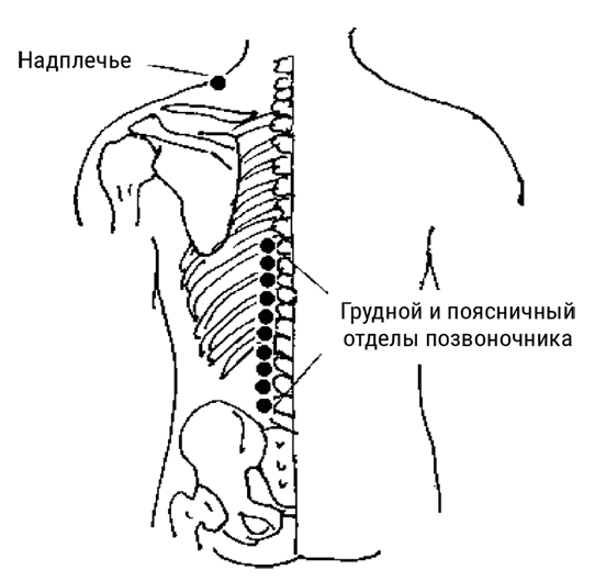 Большой самоучитель исцеляющих точек. Подробный атлас, приемы и упражнения