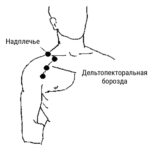 Большой самоучитель исцеляющих точек. Подробный атлас, приемы и упражнения