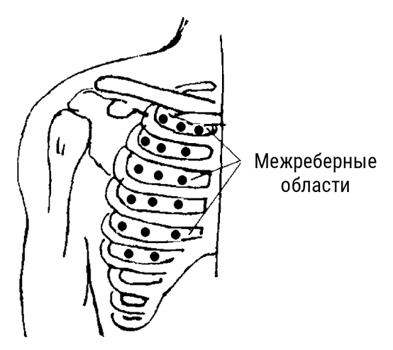 Большой самоучитель исцеляющих точек. Подробный атлас, приемы и упражнения