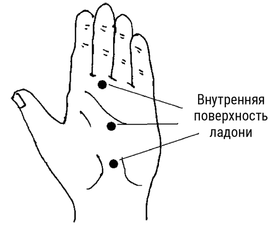 Большой самоучитель исцеляющих точек. Подробный атлас, приемы и упражнения