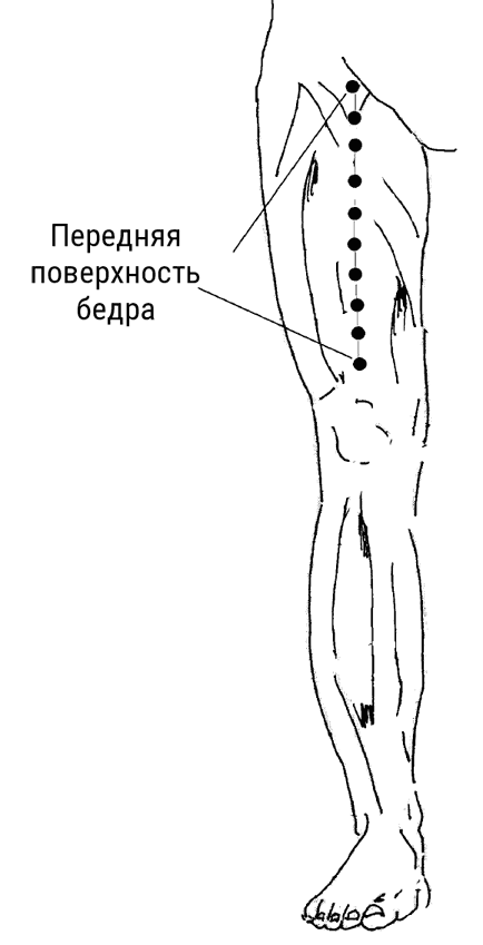 Большой самоучитель исцеляющих точек. Подробный атлас, приемы и упражнения