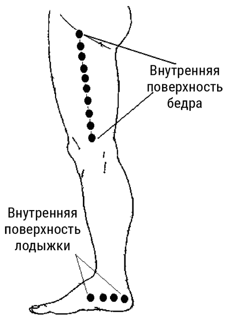 Большой самоучитель исцеляющих точек. Подробный атлас, приемы и упражнения