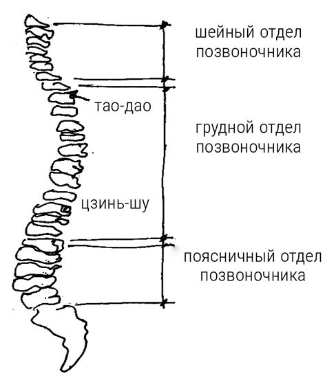 Большой самоучитель исцеляющих точек. Подробный атлас, приемы и упражнения