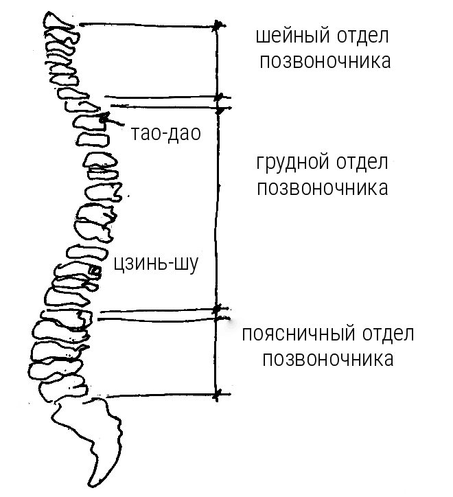 Большой самоучитель исцеляющих точек. Подробный атлас, приемы и упражнения