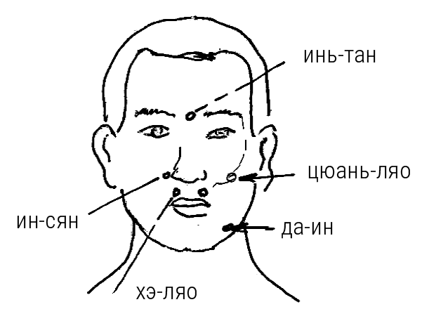 Большой самоучитель исцеляющих точек. Подробный атлас, приемы и упражнения