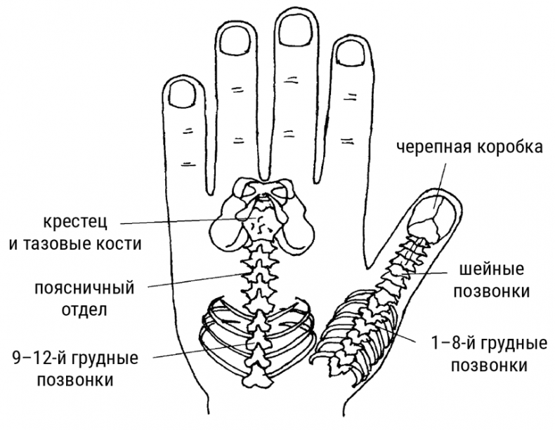 Большой самоучитель исцеляющих точек. Подробный атлас, приемы и упражнения