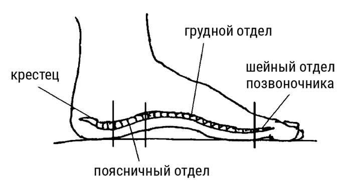 Большой самоучитель исцеляющих точек. Подробный атлас, приемы и упражнения