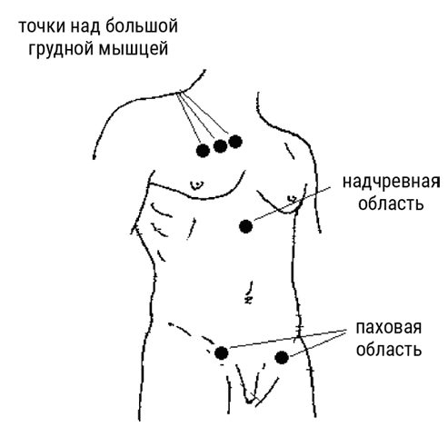 Большой самоучитель исцеляющих точек. Подробный атлас, приемы и упражнения