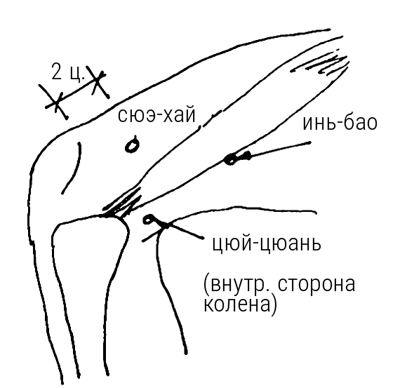 Большой самоучитель исцеляющих точек. Подробный атлас, приемы и упражнения