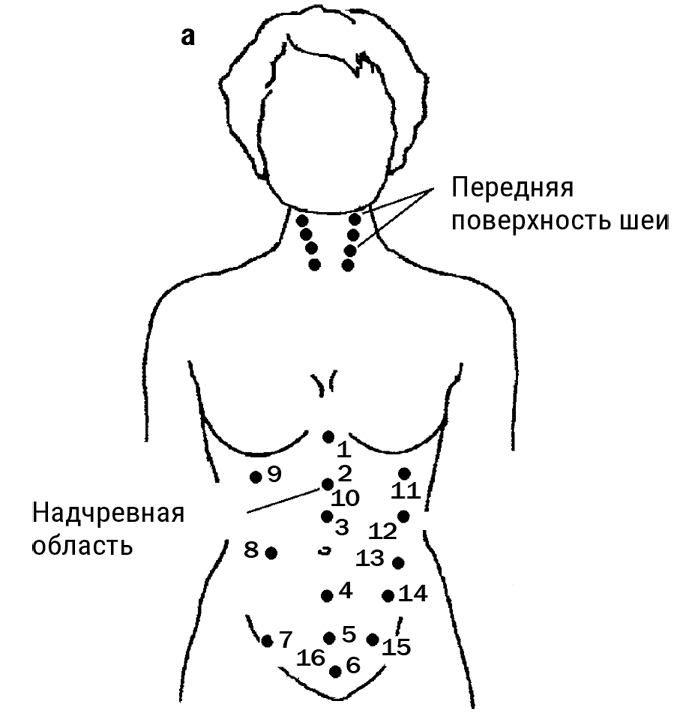 Большой самоучитель исцеляющих точек. Подробный атлас, приемы и упражнения