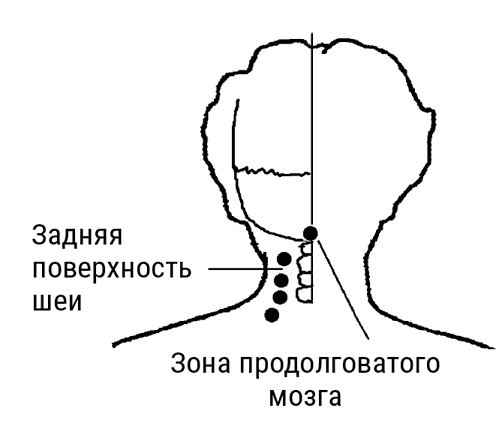 Большой самоучитель исцеляющих точек. Подробный атлас, приемы и упражнения